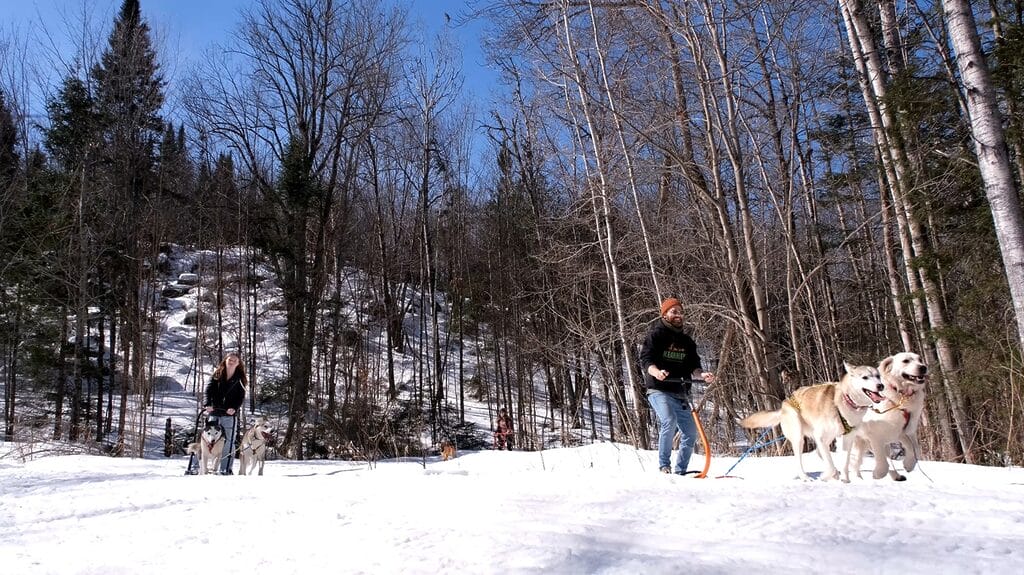 Northbound Huskies Dog Powered Sports North Bay