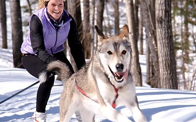 Three Unique Winter Activities in North Bay You Must Try
