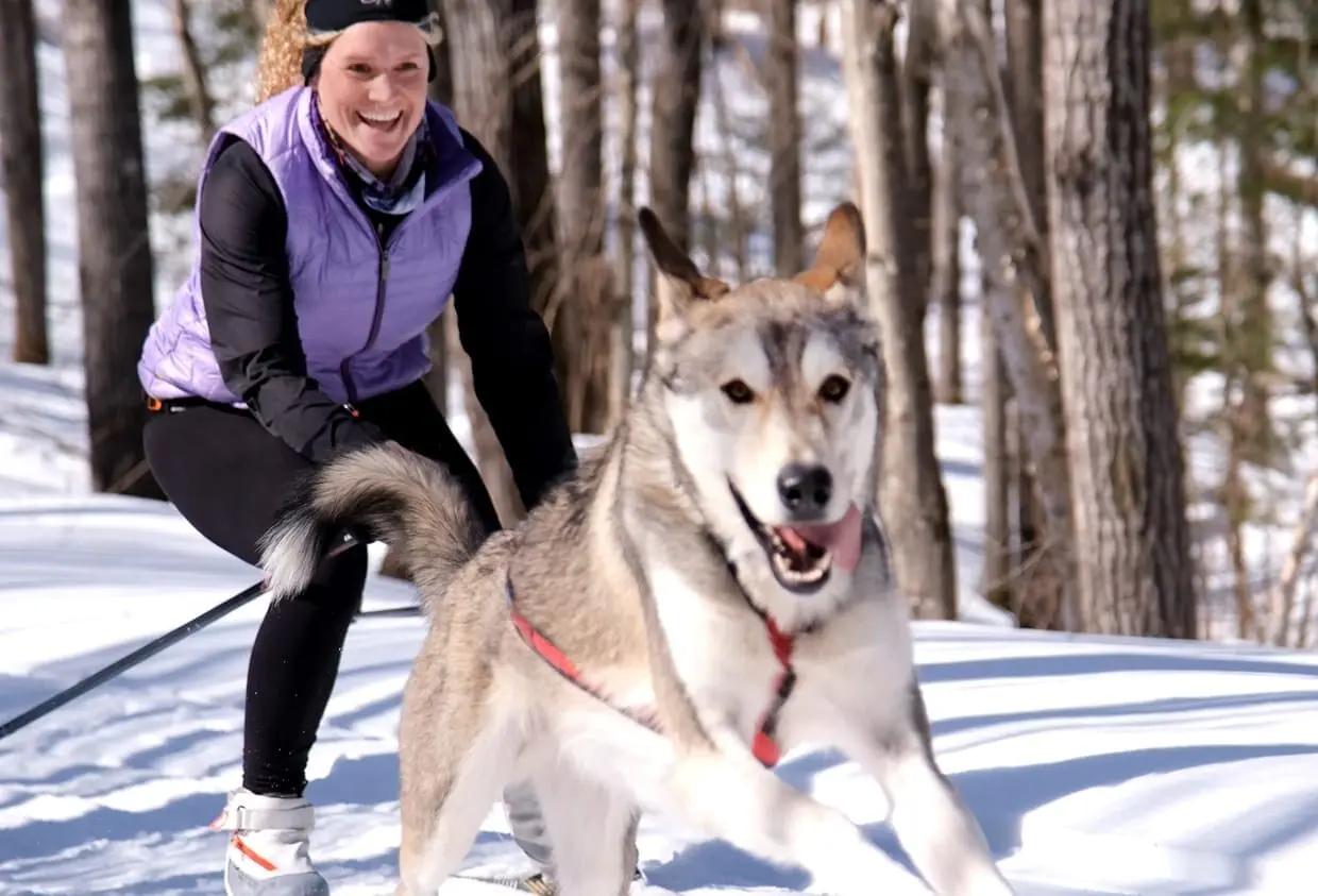 Northbound Huskies Dog Powered Sports North Bay