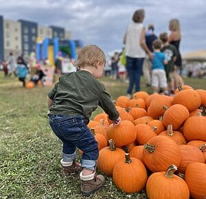 North Bay Farmers Market Fall Fair
